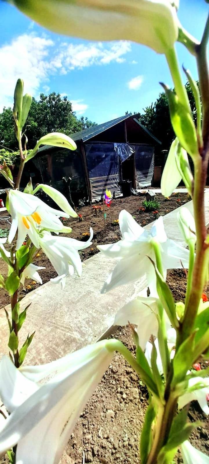 דירות ואמה וקה Casa Calin מראה חיצוני תמונה